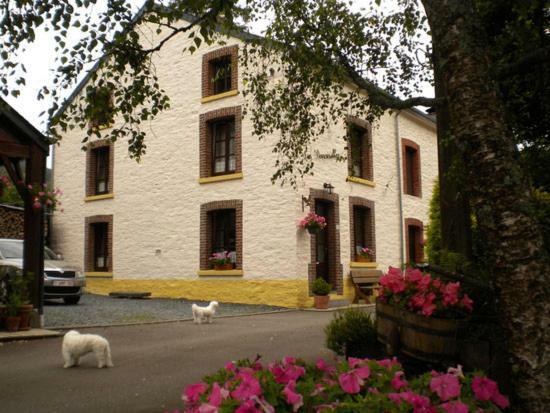 Villa Les Demoiselles de la Semois à Poupehan Extérieur photo