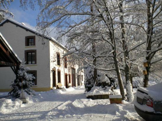 Villa Les Demoiselles de la Semois à Poupehan Extérieur photo